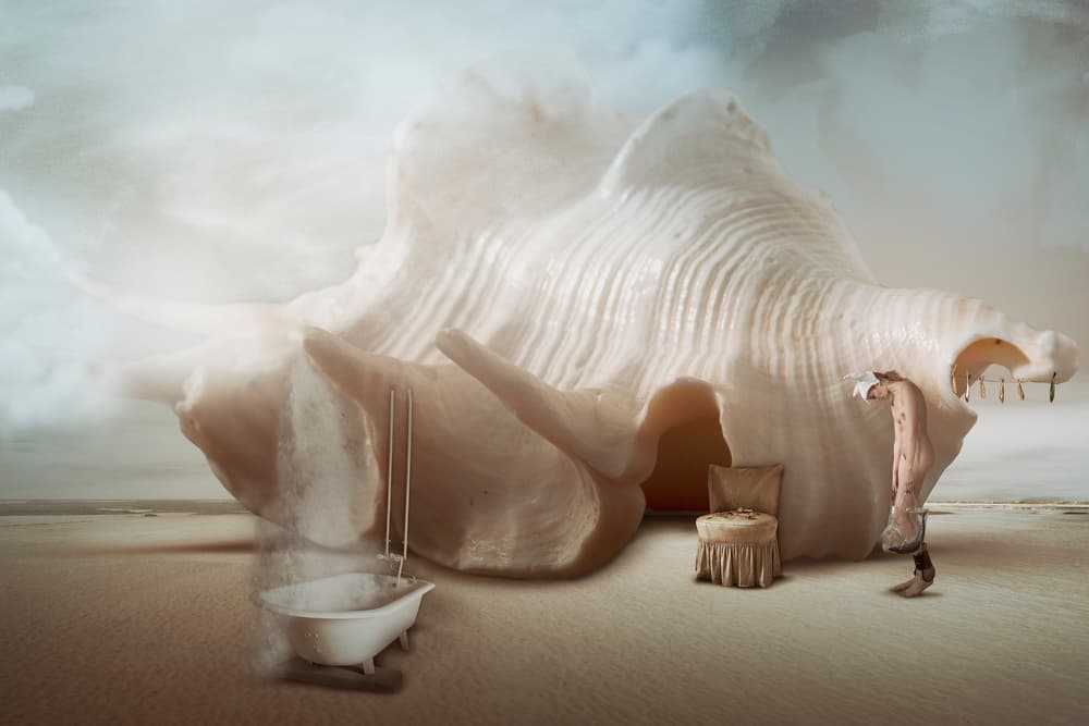 Conch Shell Dream by Christine von Diepenbroek — canvas wall art