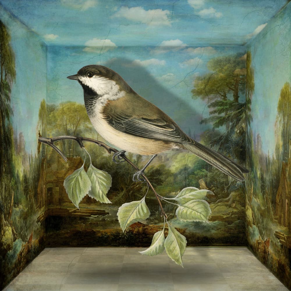 Chickadee In Painted Landscape by Marja van den Hurk — canvas wall art