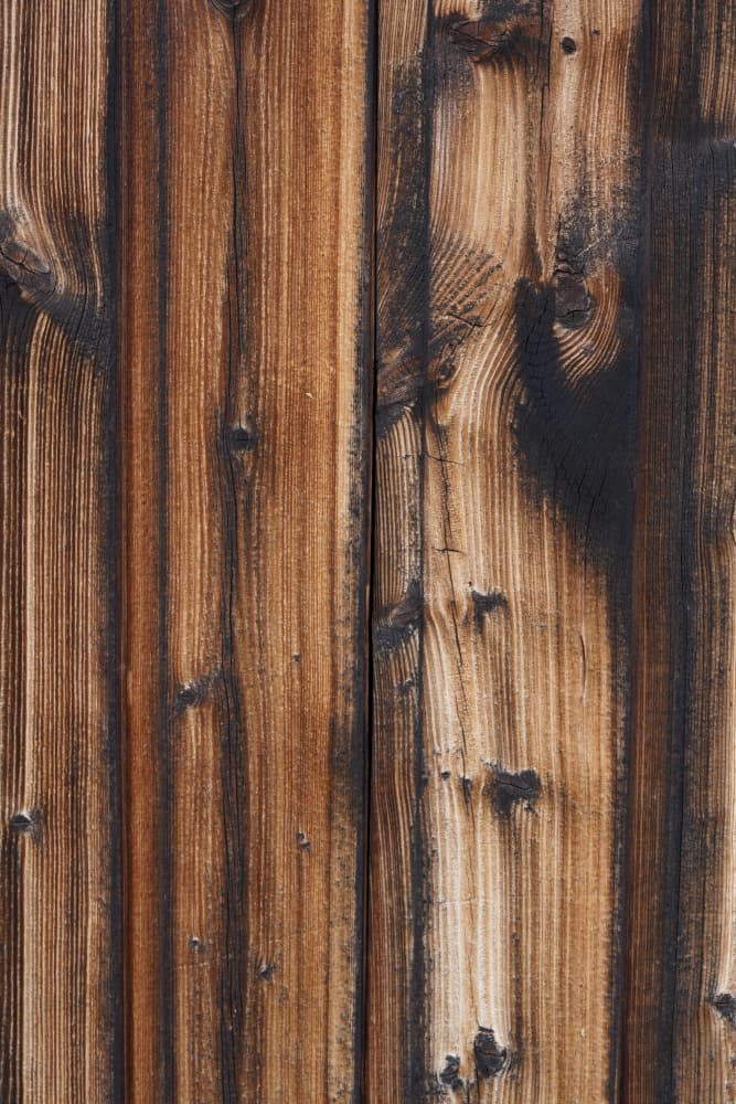 Charred Wood Grain by Bilge Paksoylu — canvas wall art