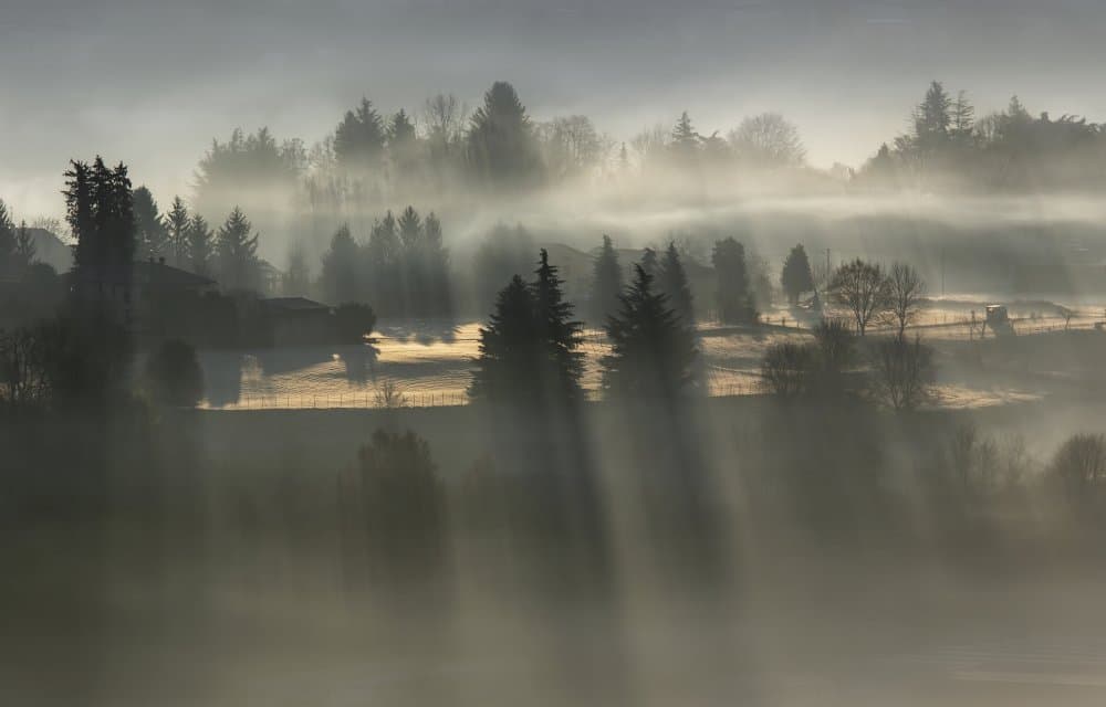 Misty Morning Sun Rays by Fabrizio Daminelli — canvas wall art