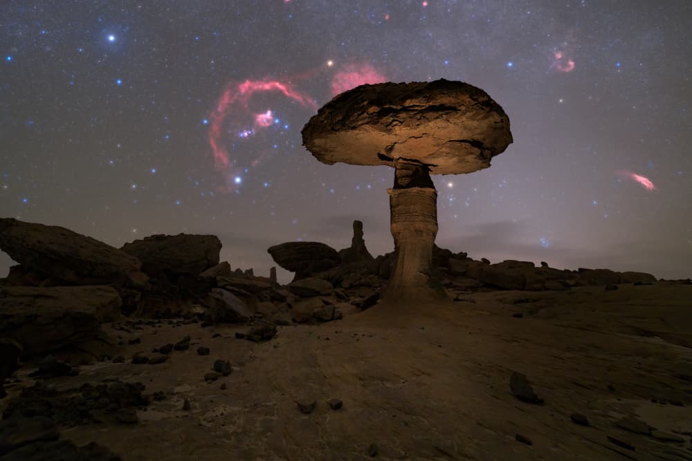 Cosmic Desert Mushroom by Vikas Chander — canvas wall art