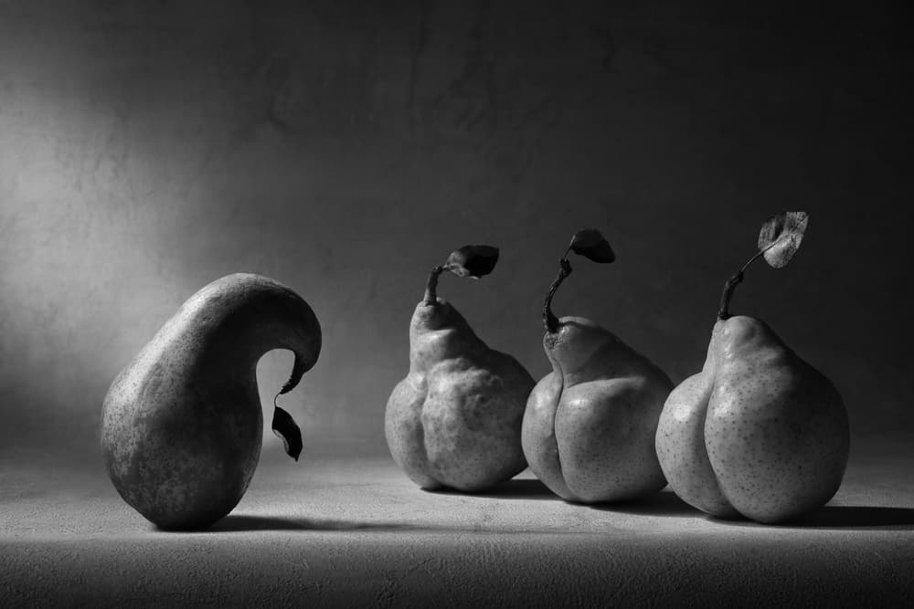 Distinctive Pears Still Life by Victoria Glinka — canvas wall art