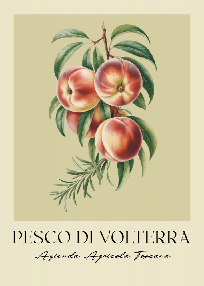 Peaches and Rosemary Illustration by Andreas Magnusson — canvas wall art