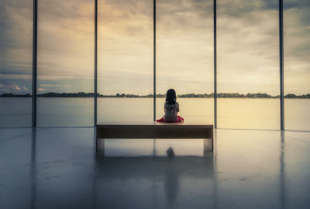 Little Girl Window View by Dusan Ignac — canvas wall art