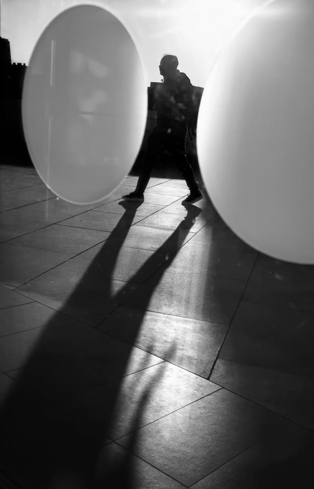 Silhouette Long Shadows by Anna Niemiec — canvas wall art