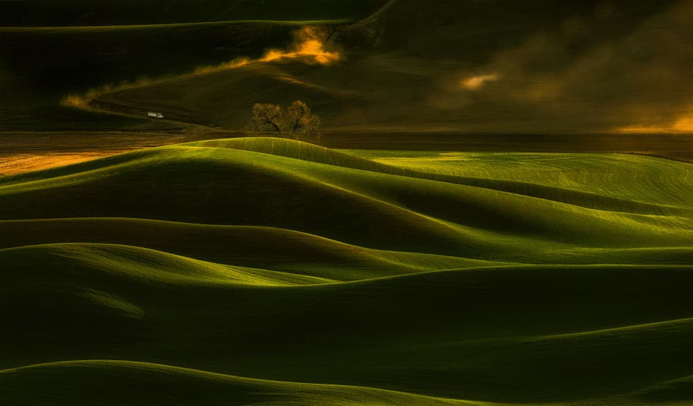 Golden Hour Hills by Lydia Jacobs — canvas wall art