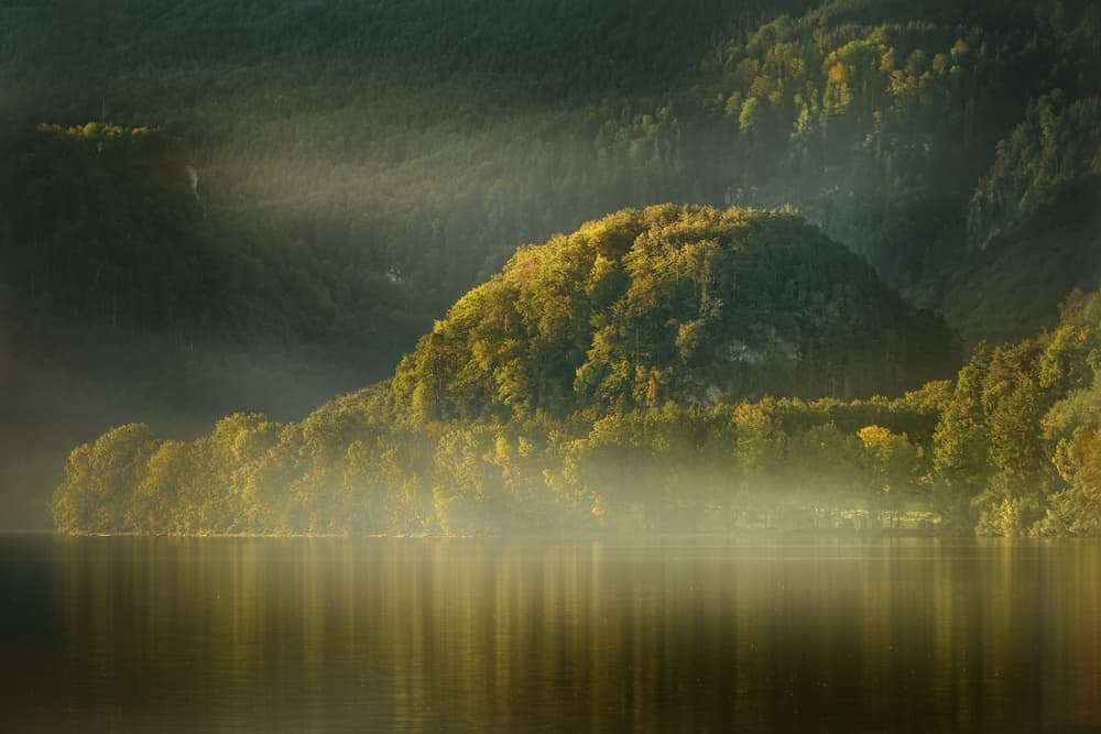 Forest Lake Morning Glow by Patrick Aurednik — canvas wall art