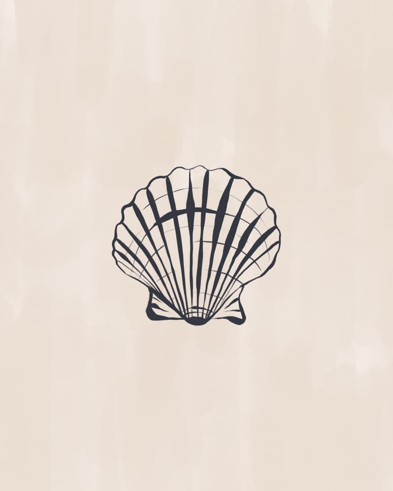Classic Scallop Shell by Ivy Green Illustrations — canvas wall art