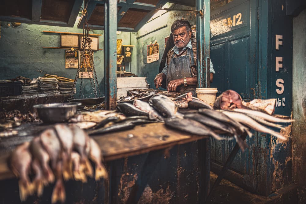 Market Man and Fish by Marco Tagliarino — canvas wall art