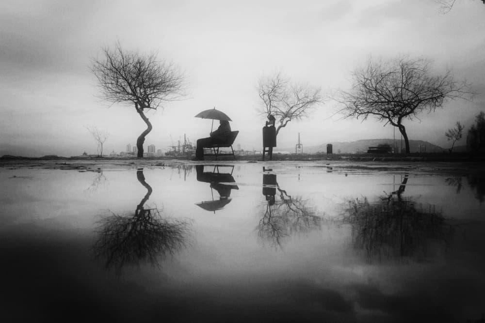 Solitary Rain Reflection by Ali Ayer — canvas wall art