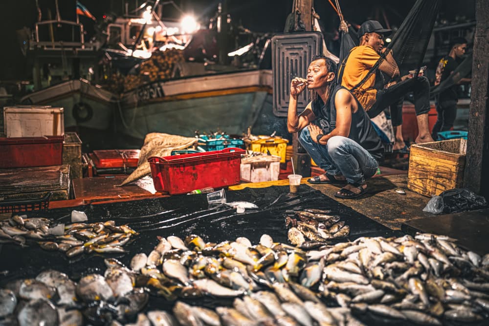 Night Market Fisherman by Marco Tagliarino — canvas wall art