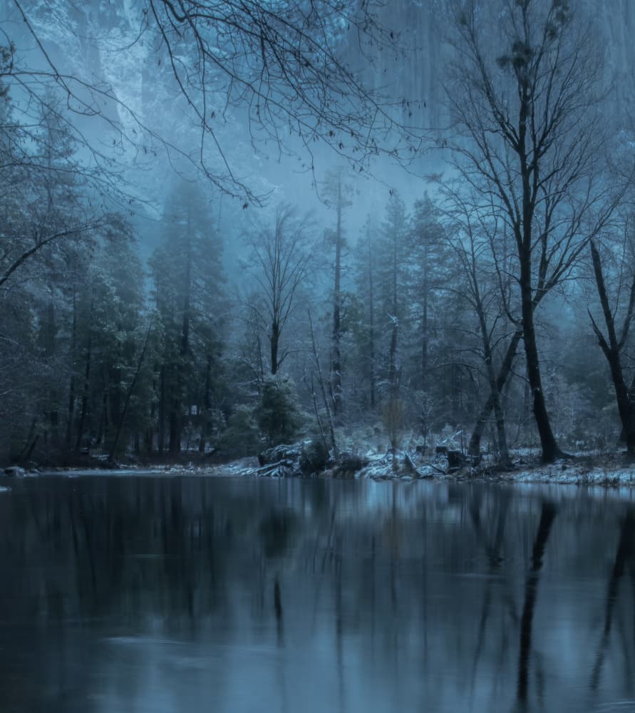 Misty Winter Forest River by Judy Tseng — canvas wall art