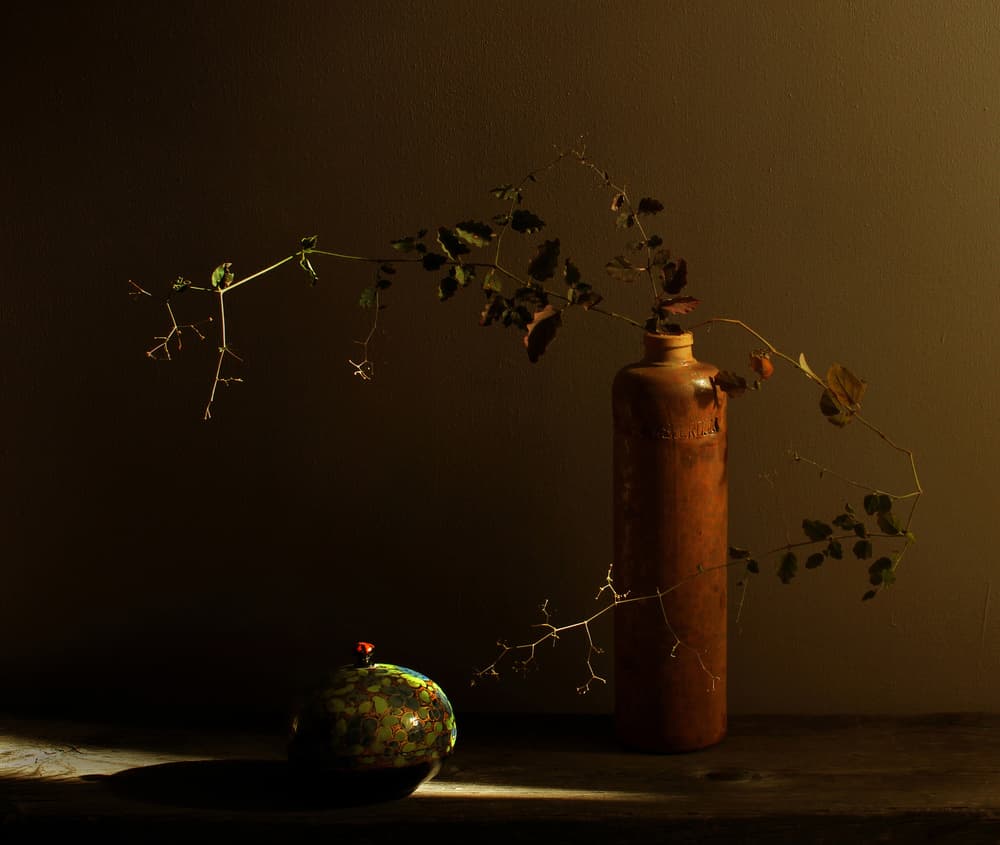 Rustic Still Life with Ladybug by Margaret Halaby — canvas wall art