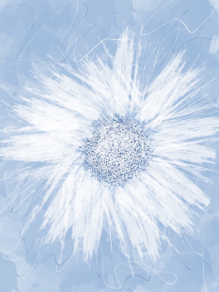 Serene White Flower by Sannel Larson — canvas wall art