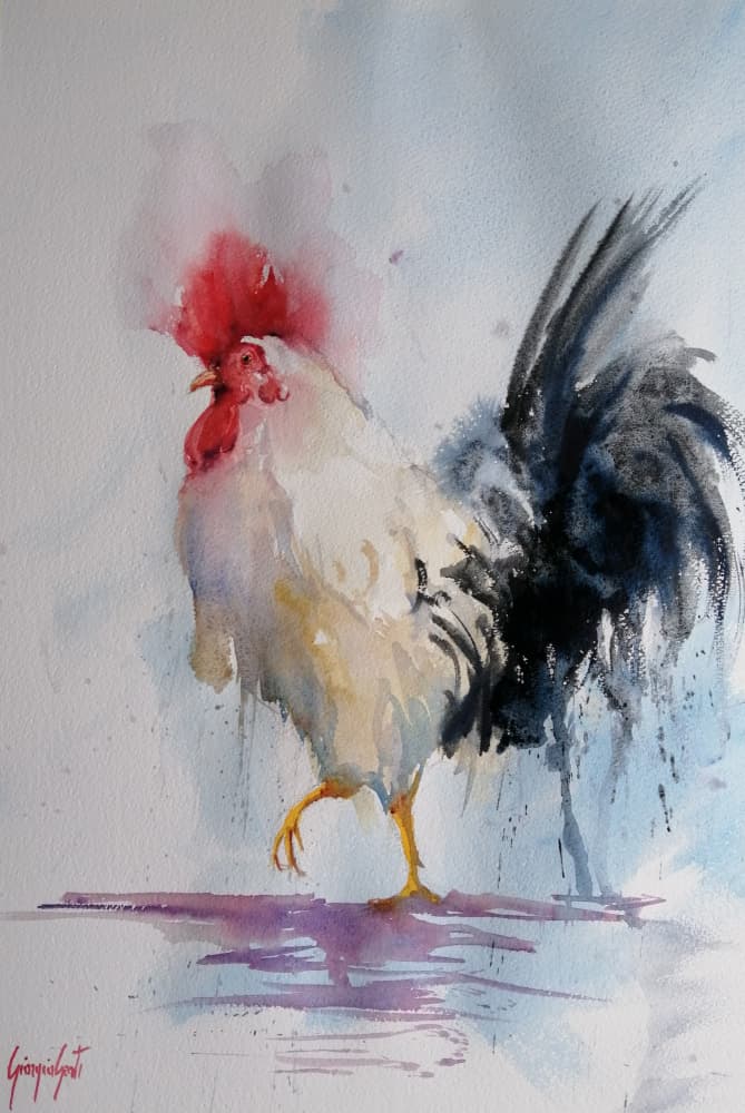 Proud Rooster Watercolor by Giorgio Gosti — canvas wall art