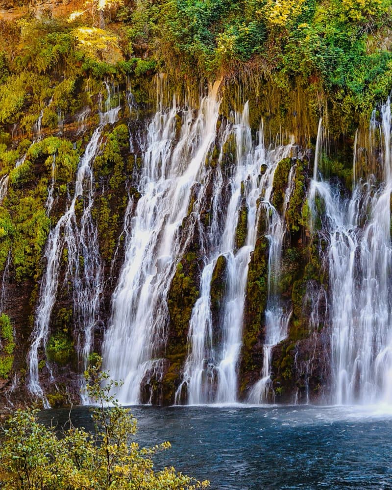 Lush Green Waterfall by Del Mundo Imagery — canvas wall art