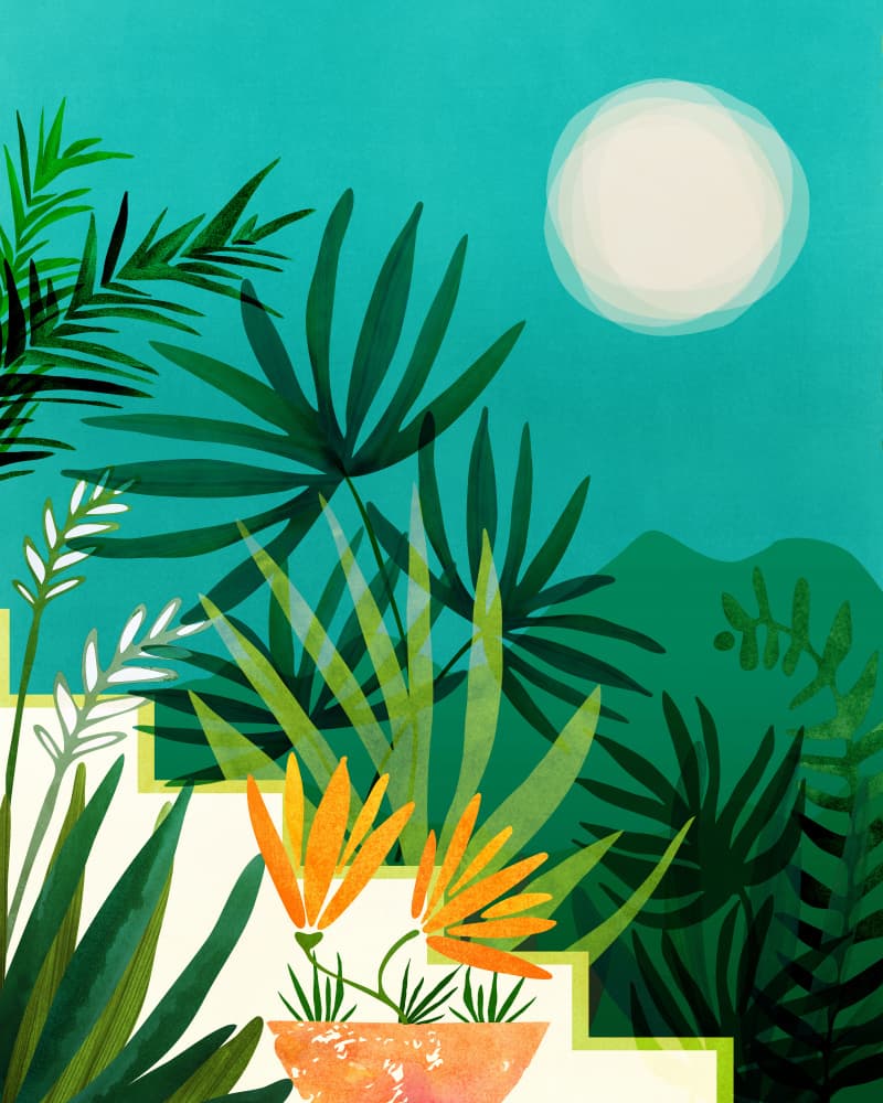 Tropical Moonlight Garden 1 by Kristian Gallagher — canvas wall art