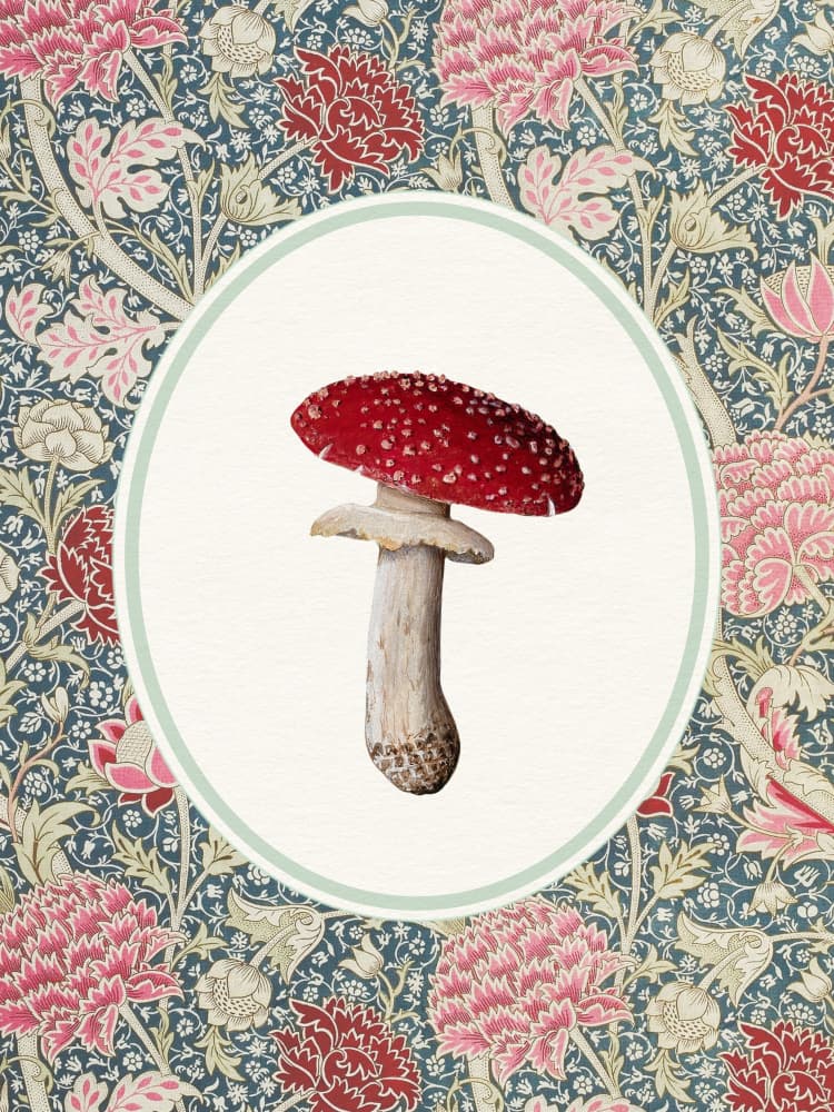 Vintage Mushroom Floral Pattern by Wild Violets — canvas wall art
