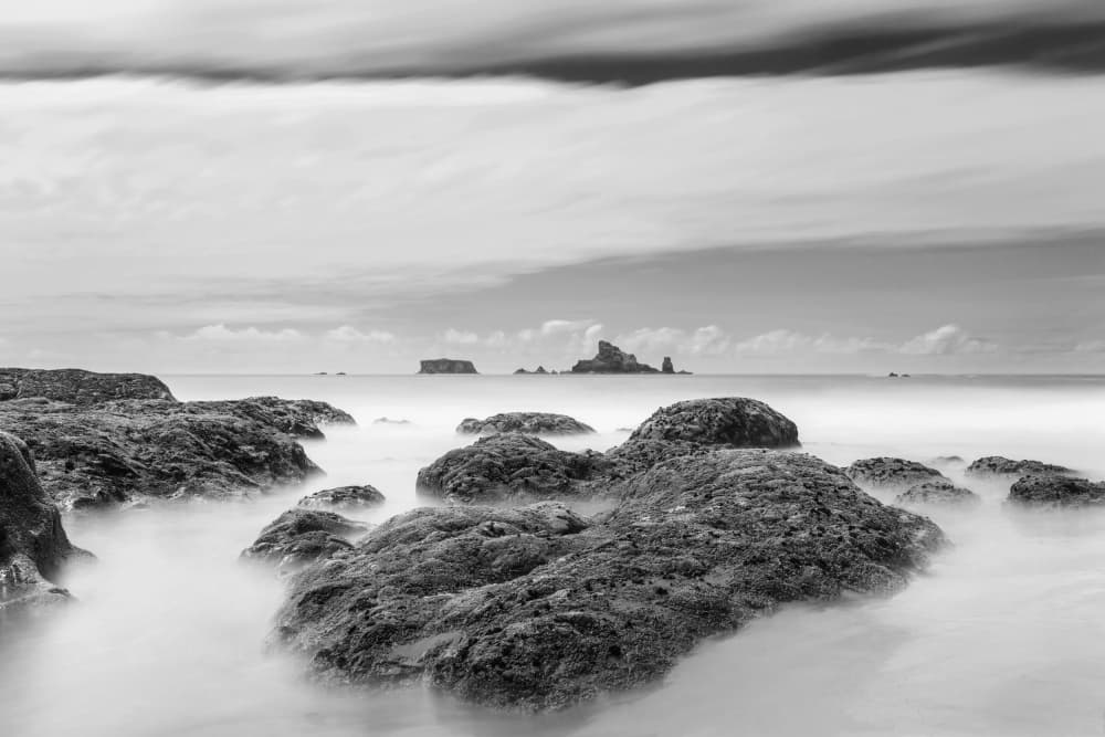 Misty Coastal Rocks by Lynann Colligan — canvas wall art
