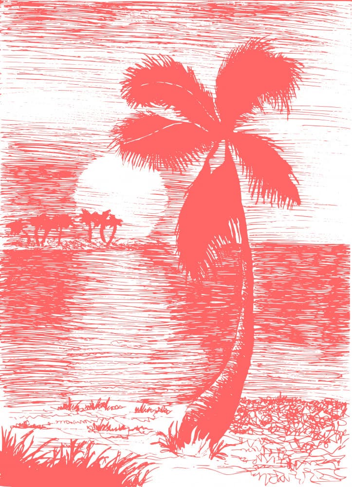 Tropical Beach Palm Sunset by Marika Barsrsind β canvas wall art