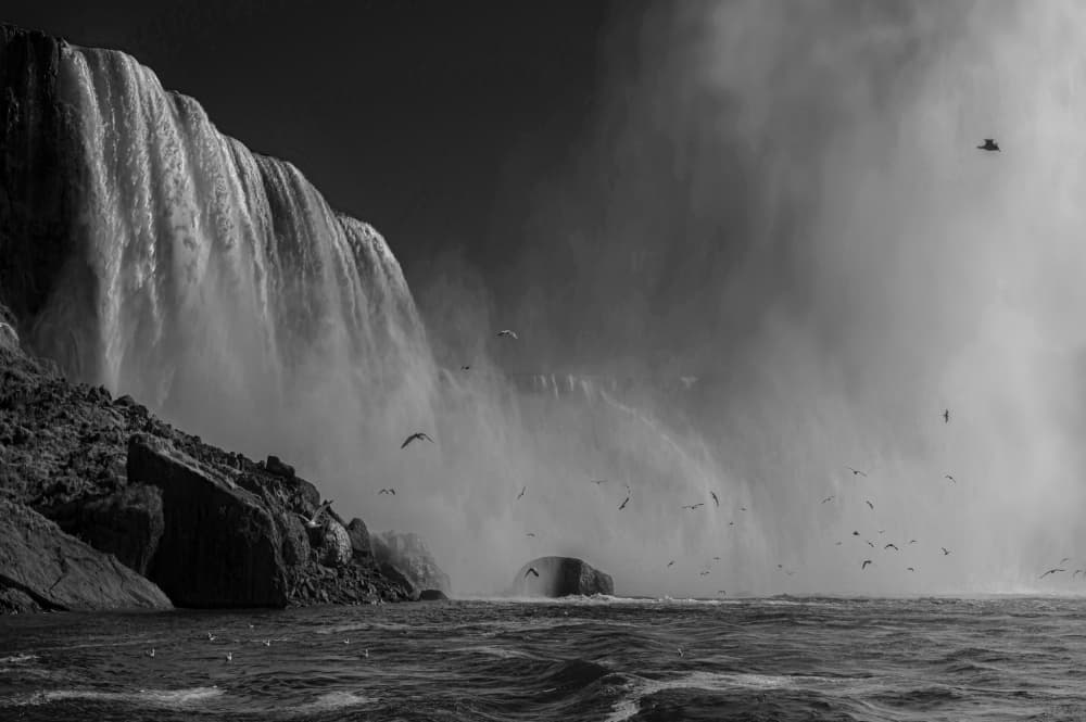 Majestic Falls And Birds by Jiahong Zeng — canvas wall art