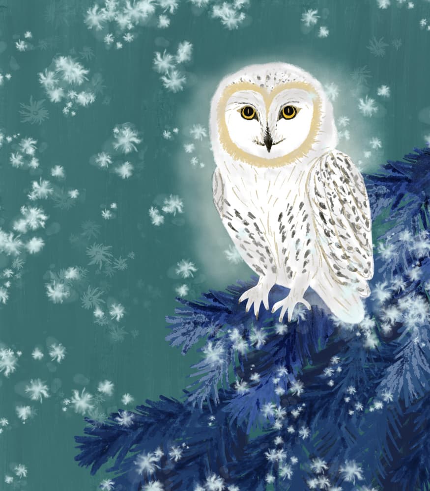 Magical Winter Owl by Aliya Putrus — canvas wall art