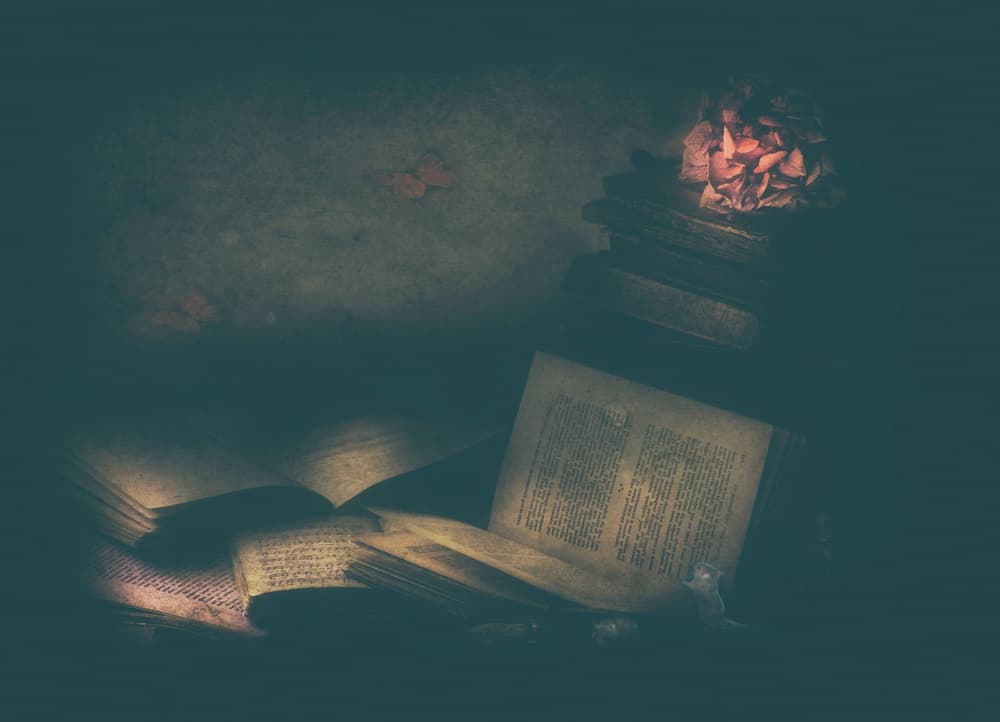 Enchanted Study Books by Delphine Devos — canvas wall art