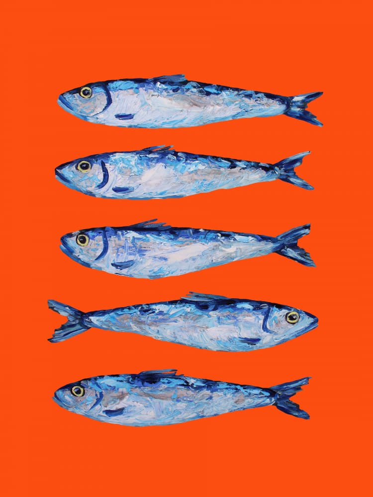 Sardines On Orange by Alice Straker — canvas wall art
