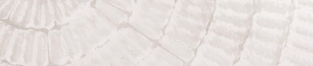 Organic Stone Texture by Pictufy Studio III — canvas wall art