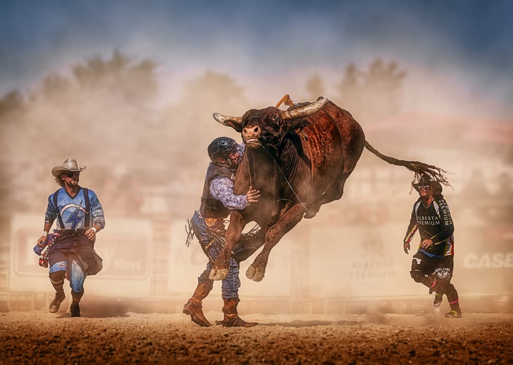 Rodeo Bull Action by Ben.C.L — canvas wall art