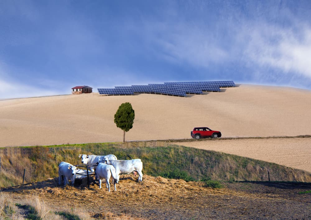 Rural Solar Landscape by Luciano Caturegli — canvas wall art