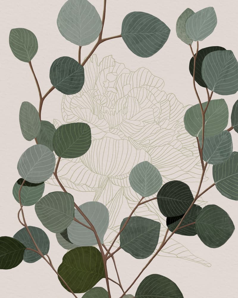 Round Eucalyptus by Katie O'Shea — canvas wall art