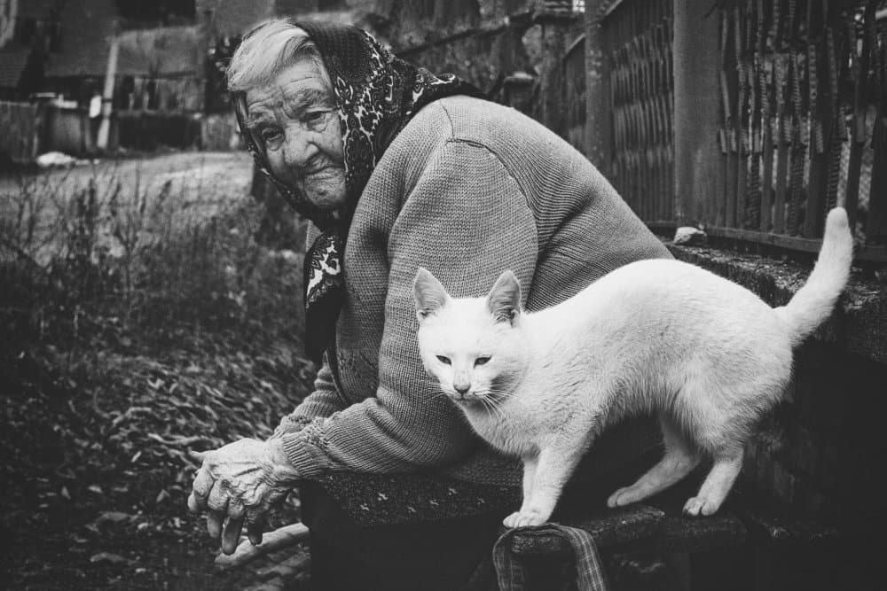 Elderly Woman White Cat by Todor Tanev — canvas wall art