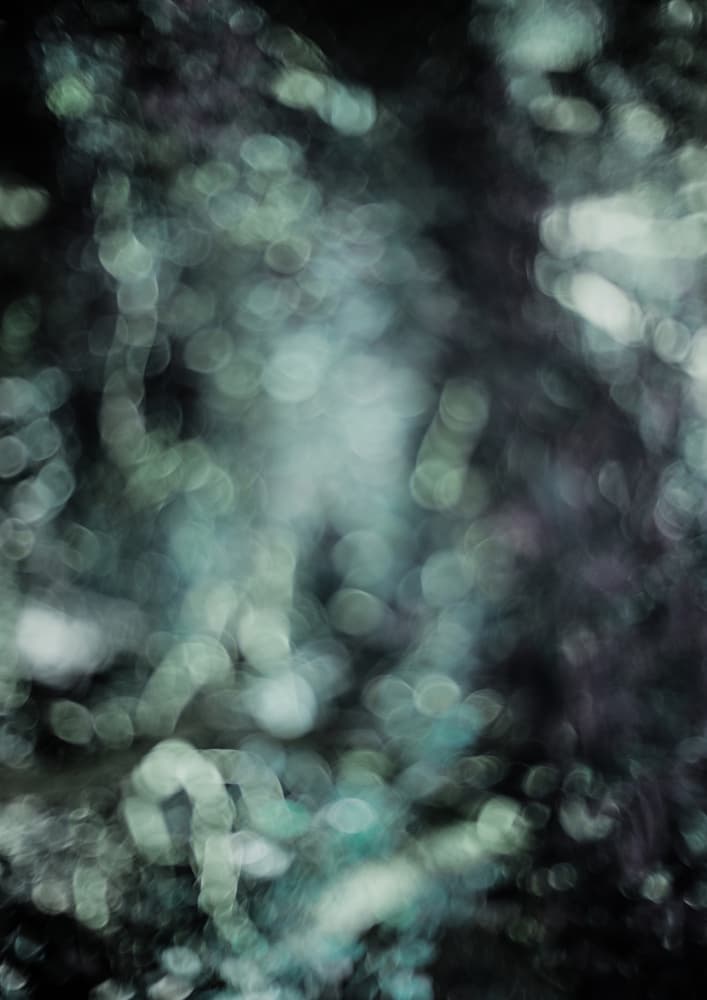 Ethereal Glimmers by Shot by Clint — canvas wall art