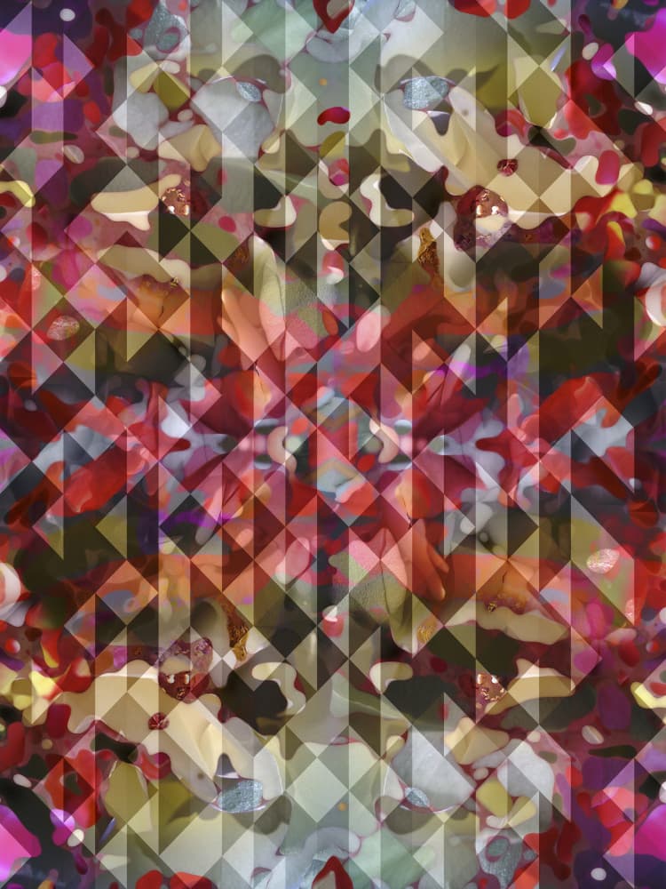 Vibrant Geometric Fusion by Angelo Cerantola — canvas wall art