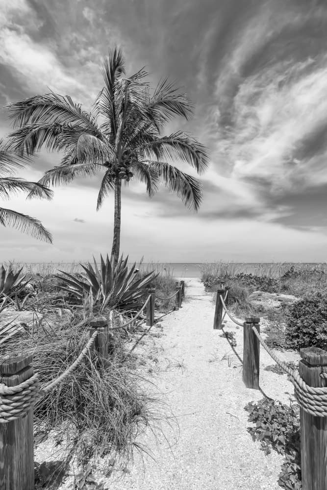 Tropical Beach Pathway by Melanie Viola — canvas wall art