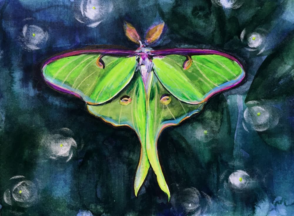 Glowing Luna Moth by Christine Lindstrom — canvas wall art