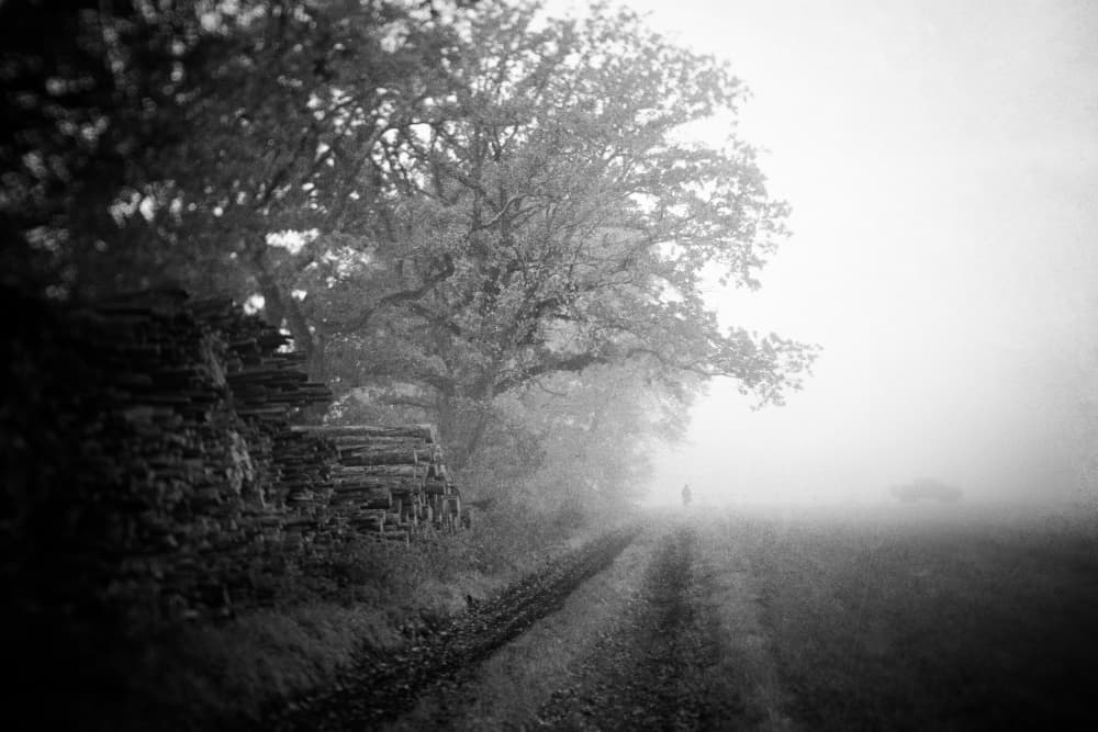 Solitary Walk in Fog by Adam Dauria ☂ — canvas wall art
