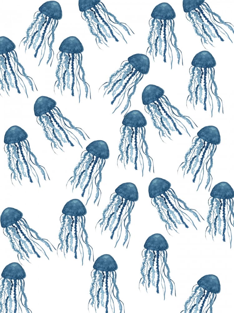 Jellyfish by Elizabeth C — canvas wall art