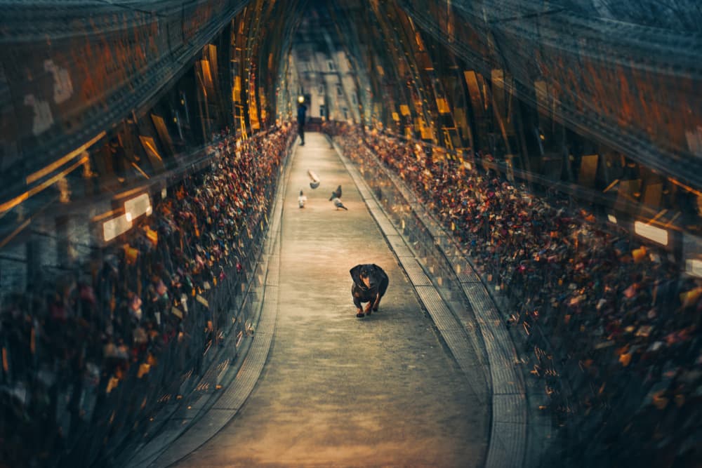 Love Lock Bridge Walk by Heike Willers — canvas wall art
