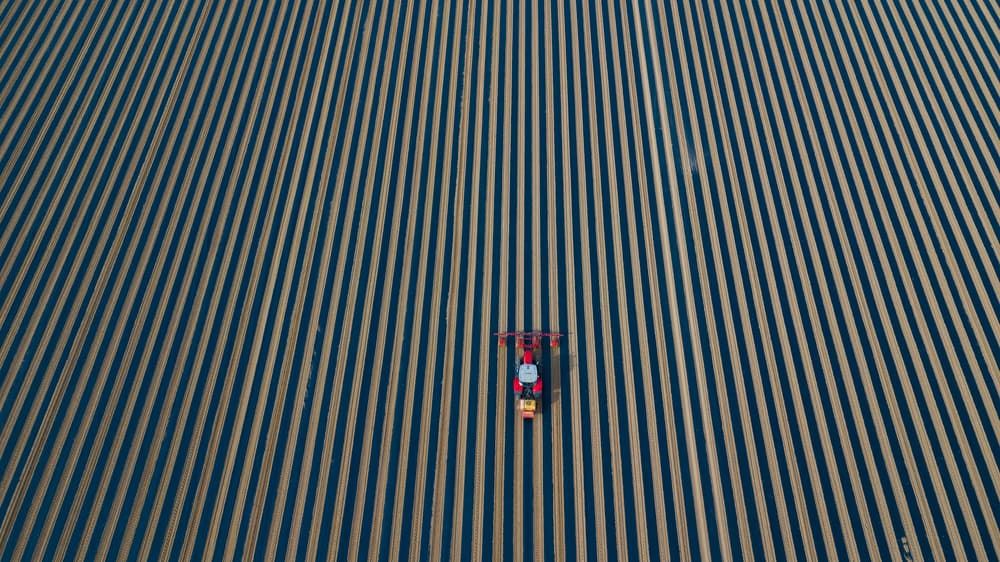 Tractor in Patterned Field by Kutub Uddin — canvas wall art