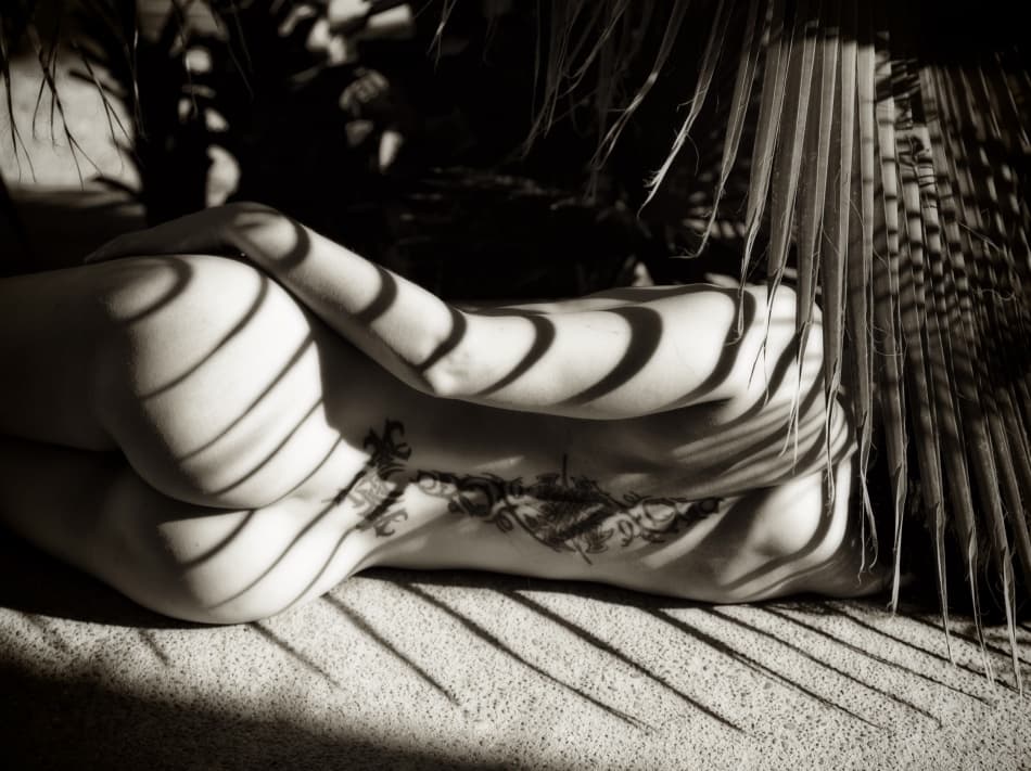 Nude Palm Shadows by Mel Brackstone — canvas wall art