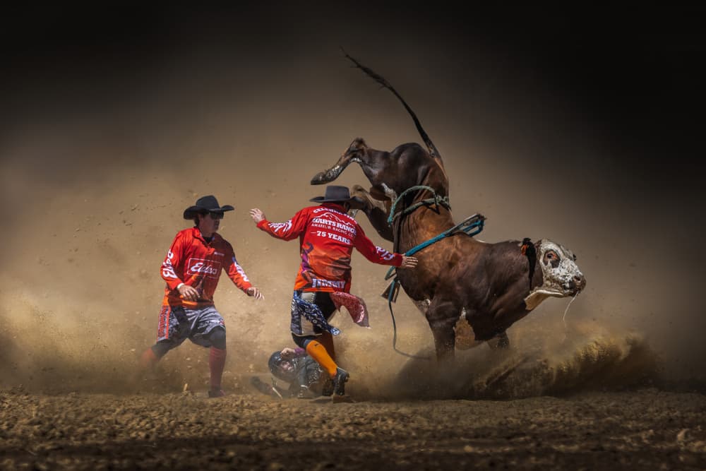 Rodeo Bull Action by Irene Wu — canvas wall art