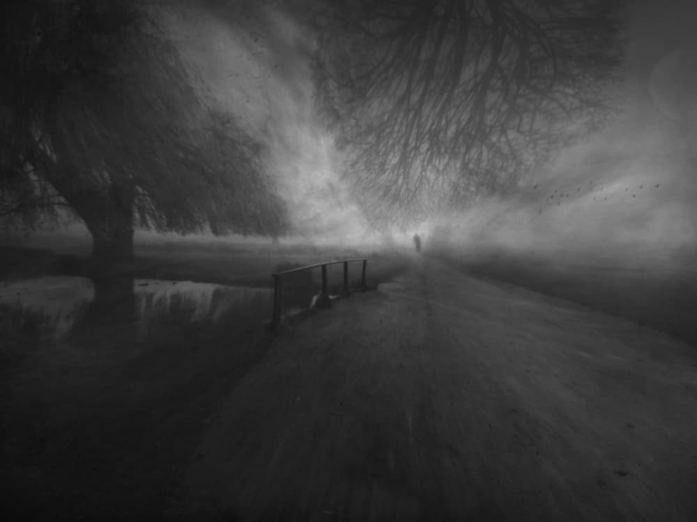Mysterious Foggy Path by Robert Fabrowski — canvas wall art