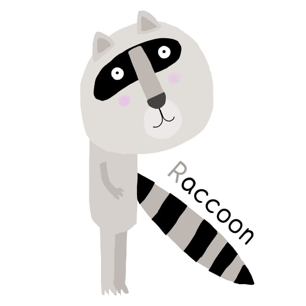 Playful Raccoon R by Carla Daly — canvas wall art