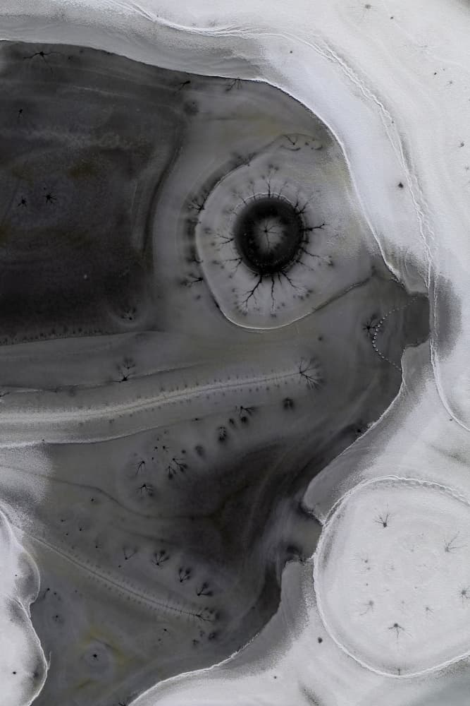 Fluid Organic Eye by Jure Kravanja — canvas wall art