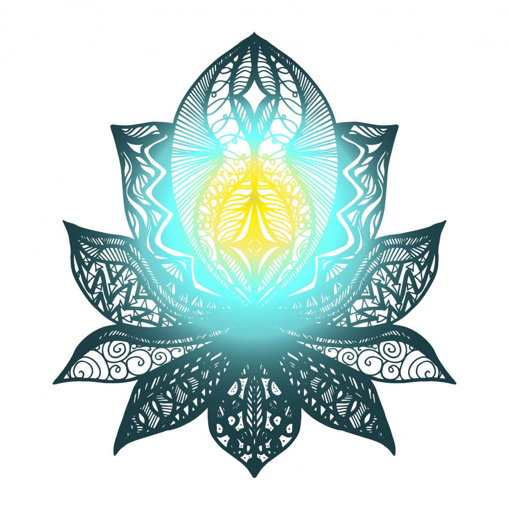 Lotus Mandala Art by Marika Barsrsind β canvas wall art