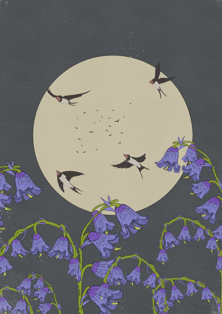 Moonlit Swallows and Bluebells by Nicholas — canvas wall art