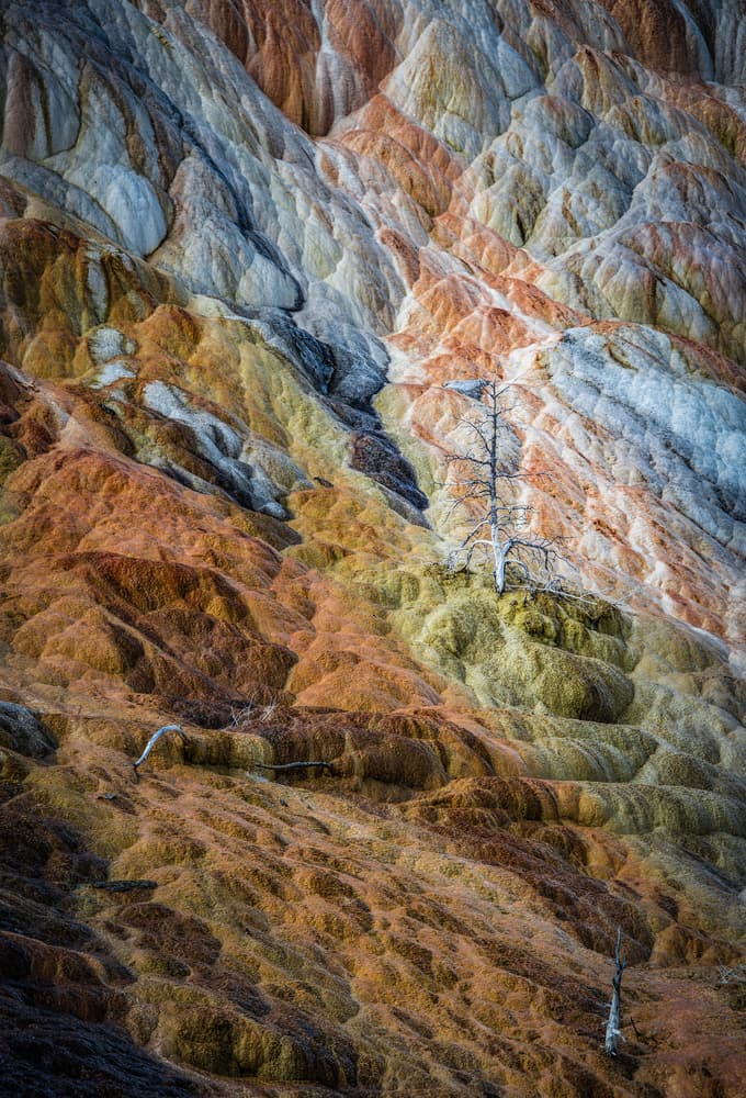 Colorful Geothermal Terraces by Colin Dixon — canvas wall art