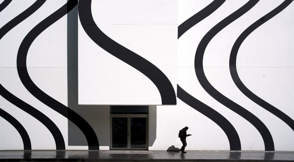 Wavy Lines Walker by Erhard Batzdorf — canvas wall art